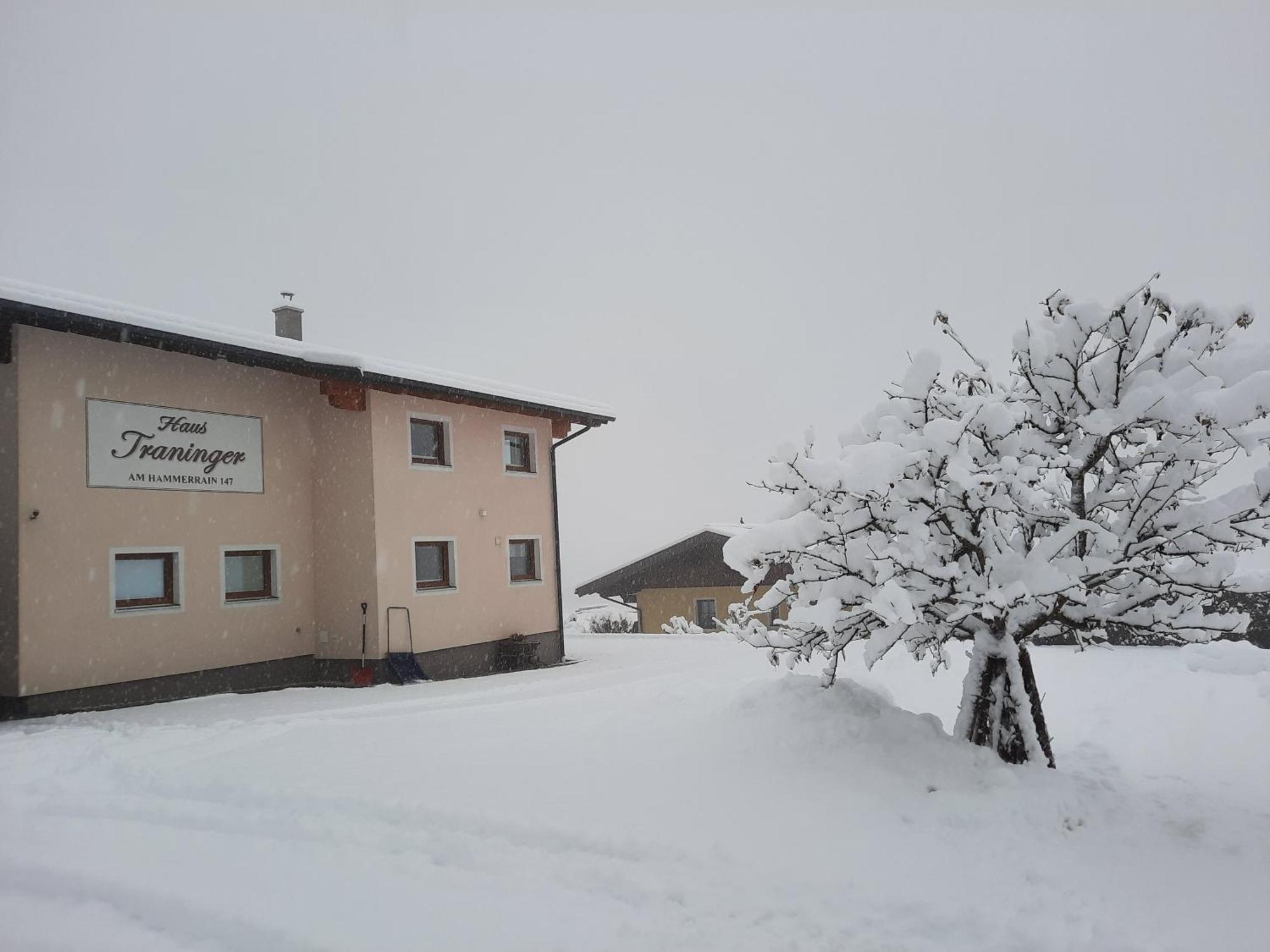 Haus Traninger Apartment Flachau Exterior foto